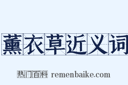薰衣草近义词是什么意思的图片